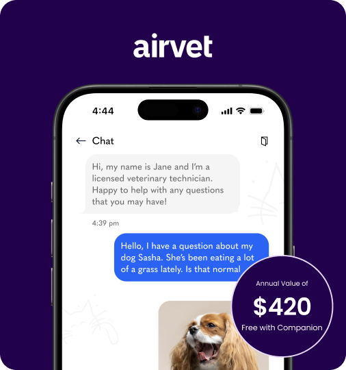 image of a converstaion between the enduser and the vet through the airvet app