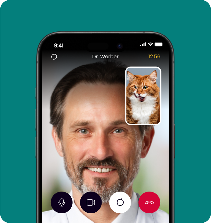 image of a vet on avirtual consultation with a dog through the airvet app