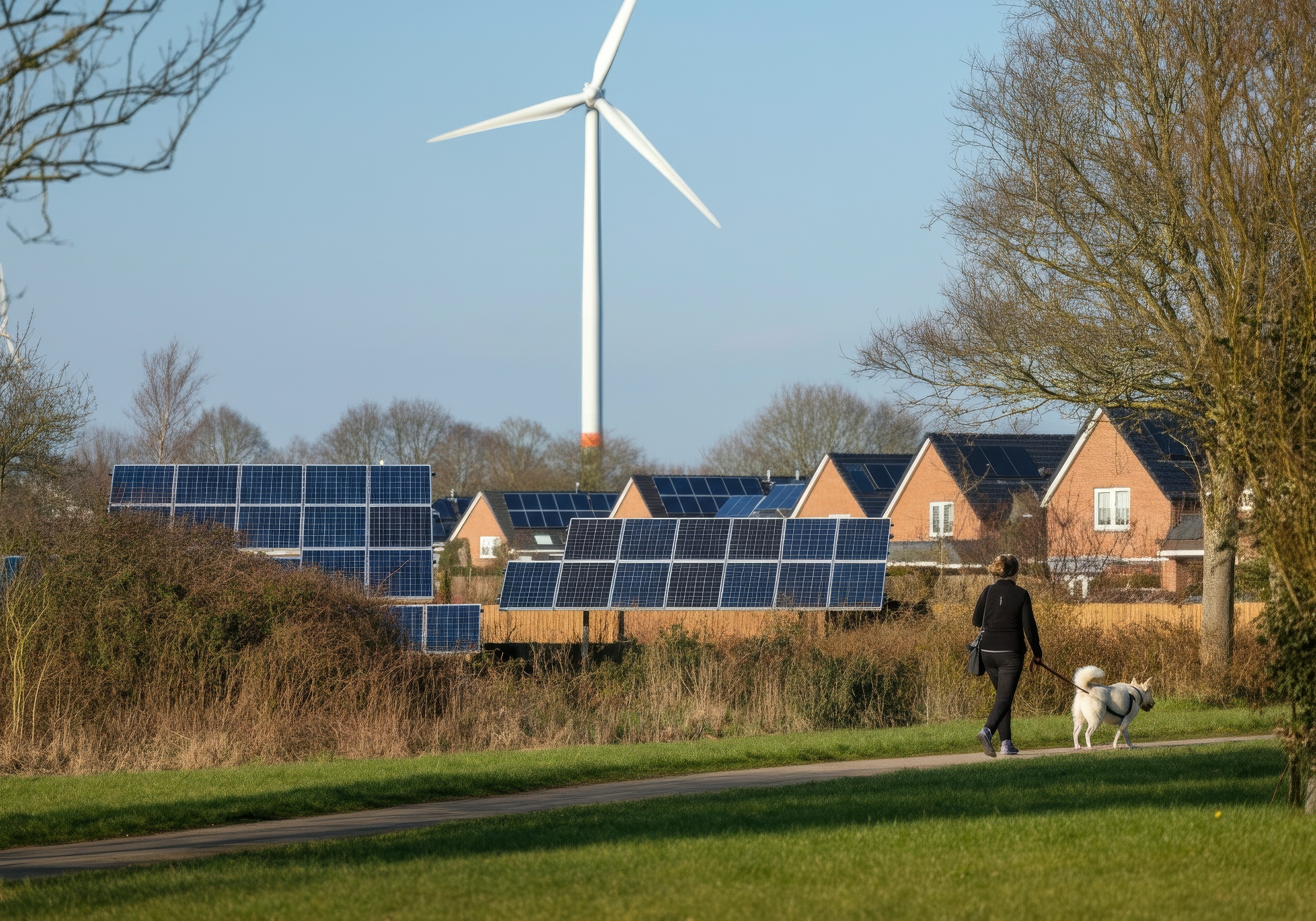 What Makes a Pet-Friendly Electricity Plan?