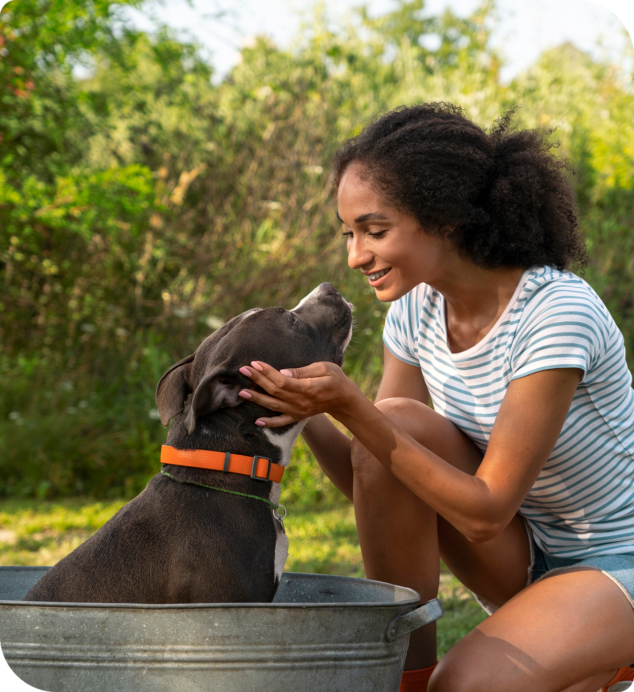 image of a woman petting a dog