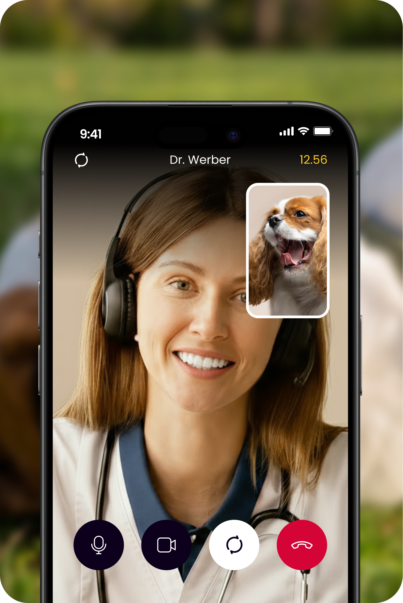 image of a vet on a virtual consultation with a dog through the airvet app