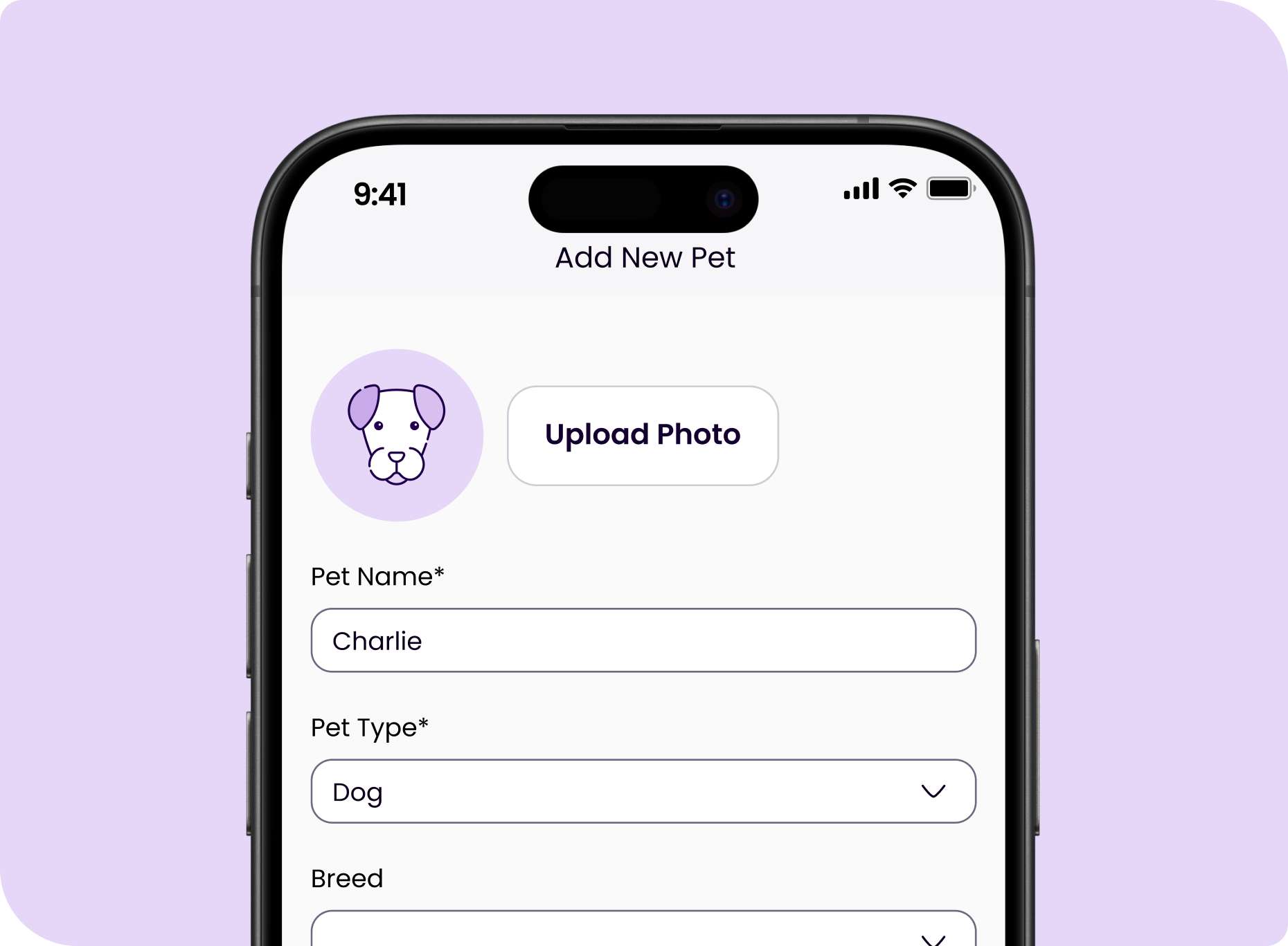 Frame 2147204027 (31)