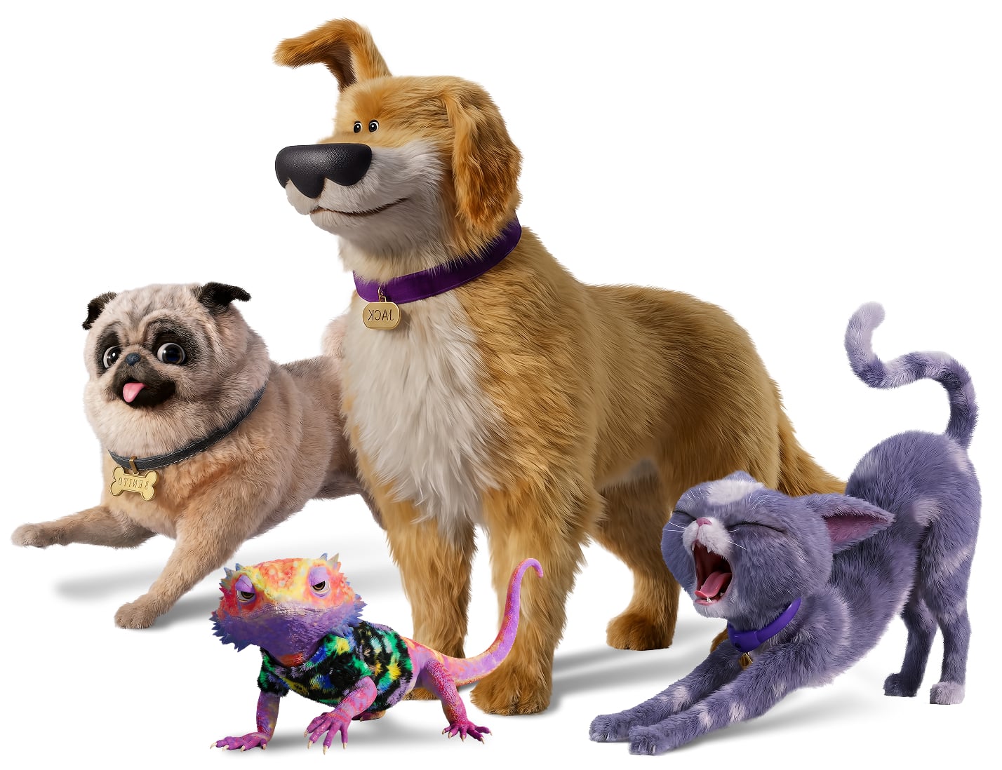 Pet Club