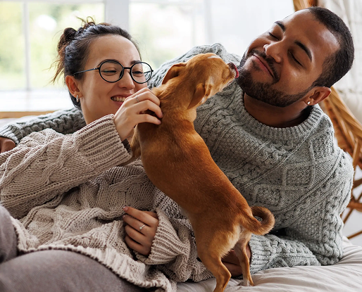 image of a couple in cozy sweaters playing with a dog