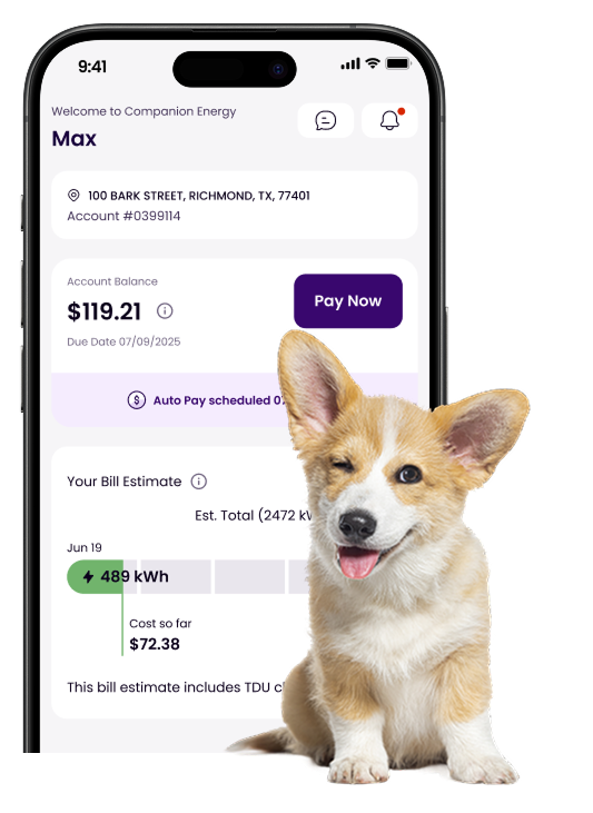 image of a dog in front of a phone screen