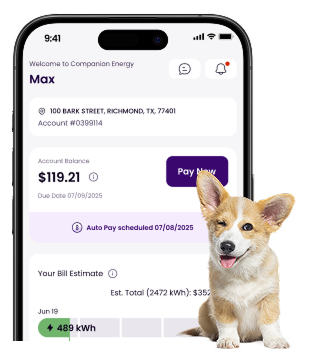 image of a dog in front of a phone screen