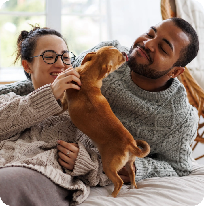image of a couple in cozy sweaters playing with a dog