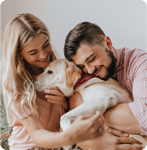 image of a couple hugging a dog