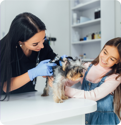 image of a dog getting checked by a vet and a little girl holding it