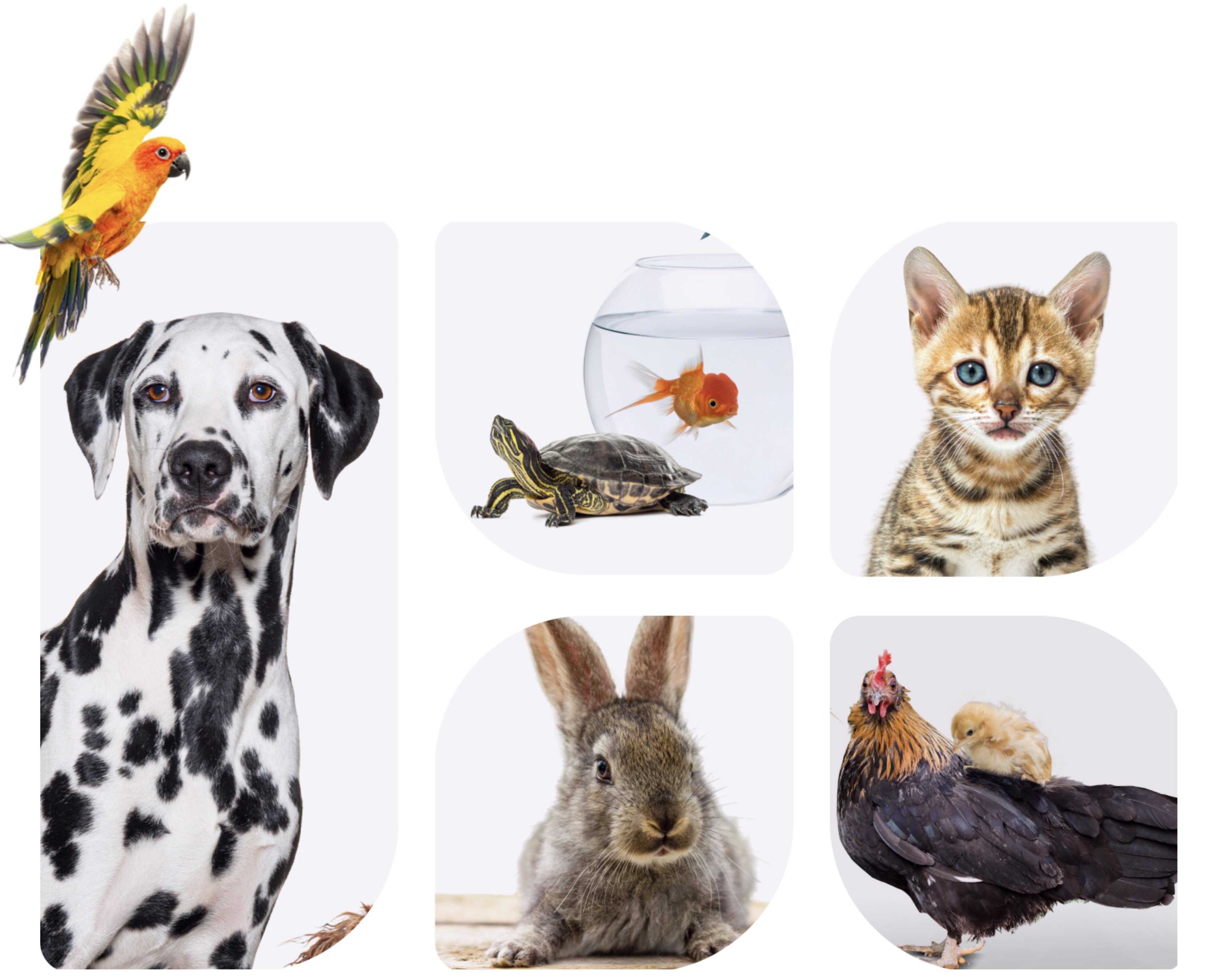 Untitled (Instagram Post (45))