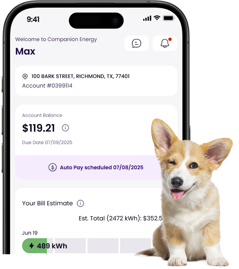 image of a dog in front of phone screen with a preview of companion app 