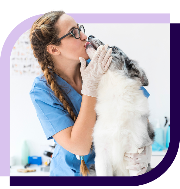 image of a dog licking a veterinarian