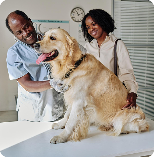 image of a vet examining a happy dog with its owner on the side