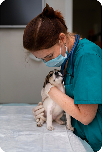image of a veterinarian hugging a dog