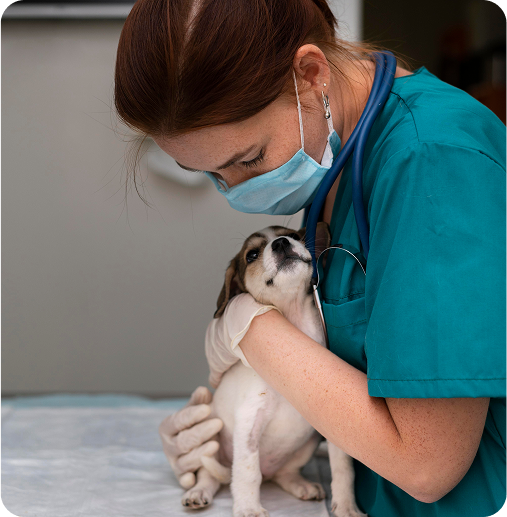 image of a veterinarian hugging a dog