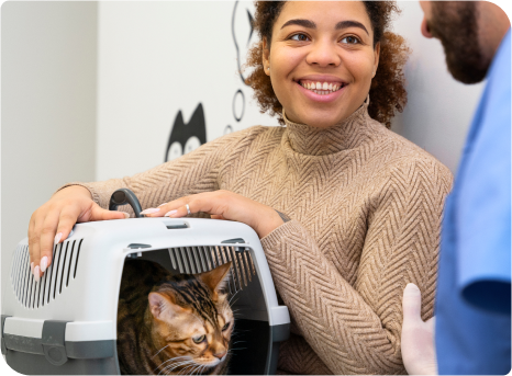 image of a cat in a carrier at a vet