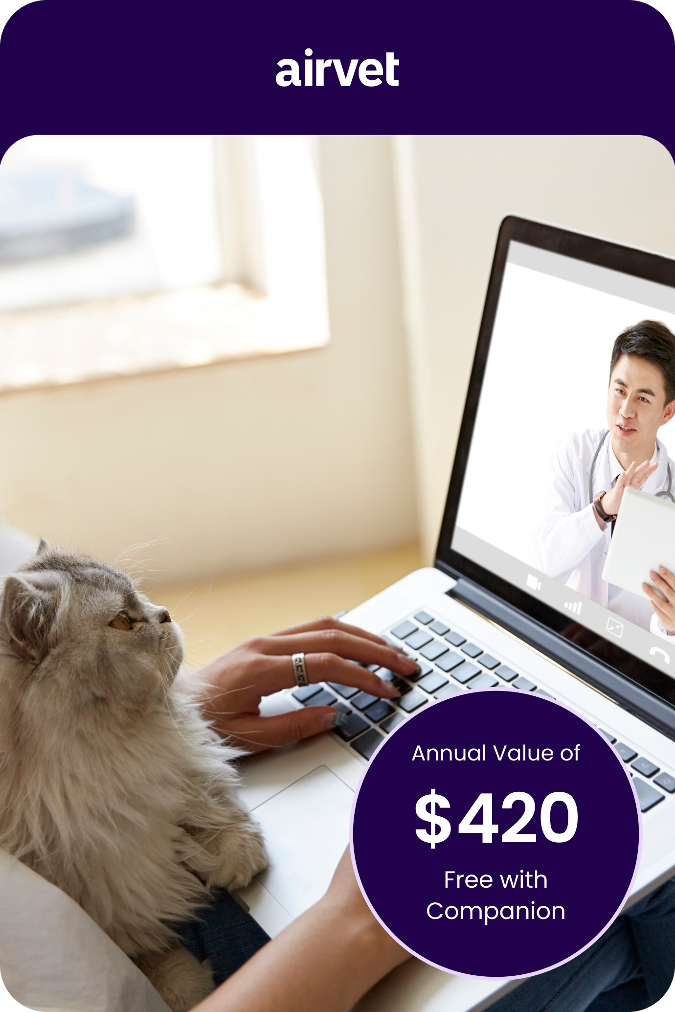 image of a cat on a virtual consultation with a vet through airvet app